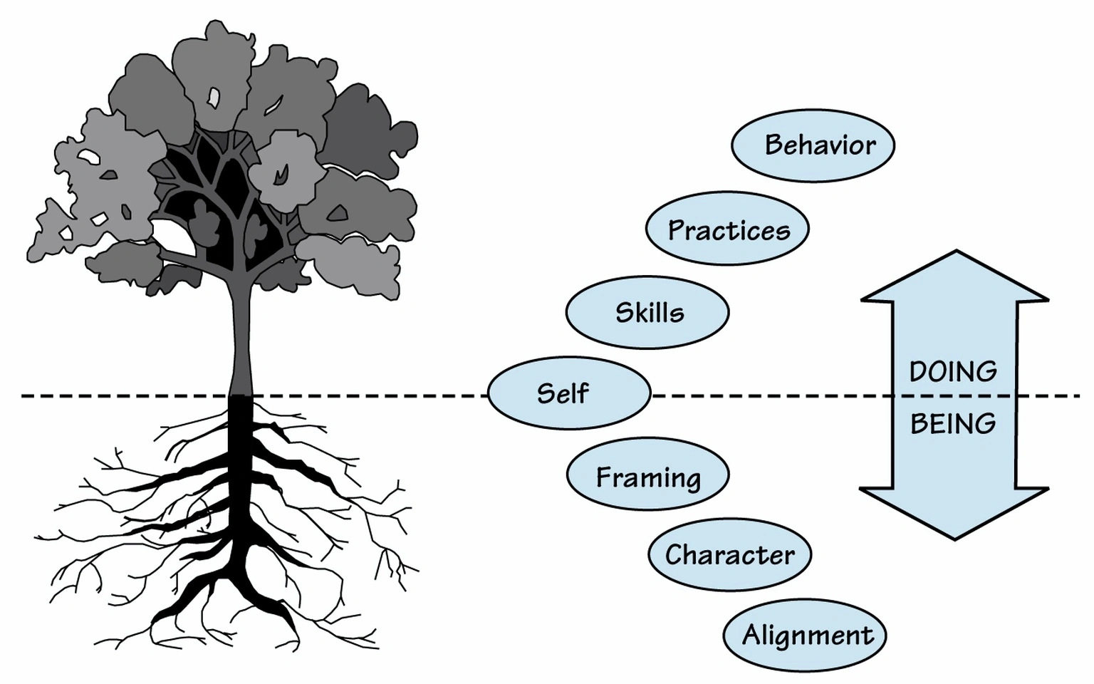 Authentic leader development and professional training process