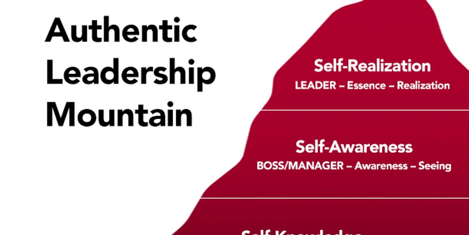 Authentic leadership development and self-awareness coaching session